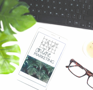 Optimizing your website for SEO through it all… the updates, I mean.