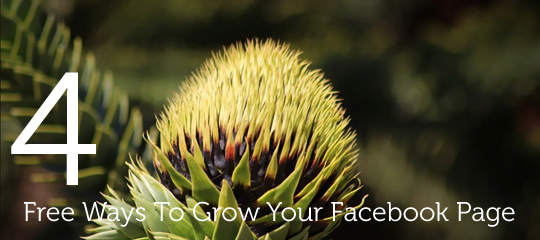 4-Free-Ways-To-Grow-Your-Facebook-Page