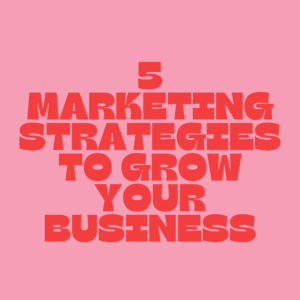 5 Marketing Strategies to Grow Your Business — Thin Pig Media