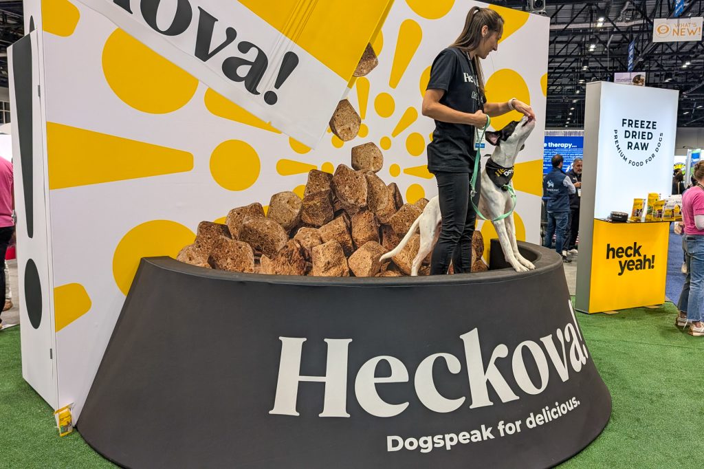 Person and dog in giant dog bowl at a trades how booth