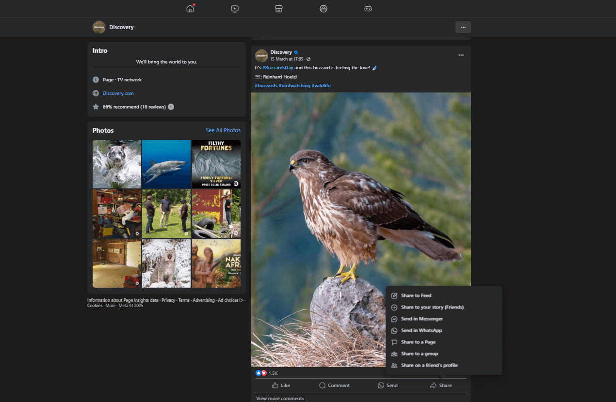 Buzzard on a rock in Discovery’s Facebook post with share to group option menu open