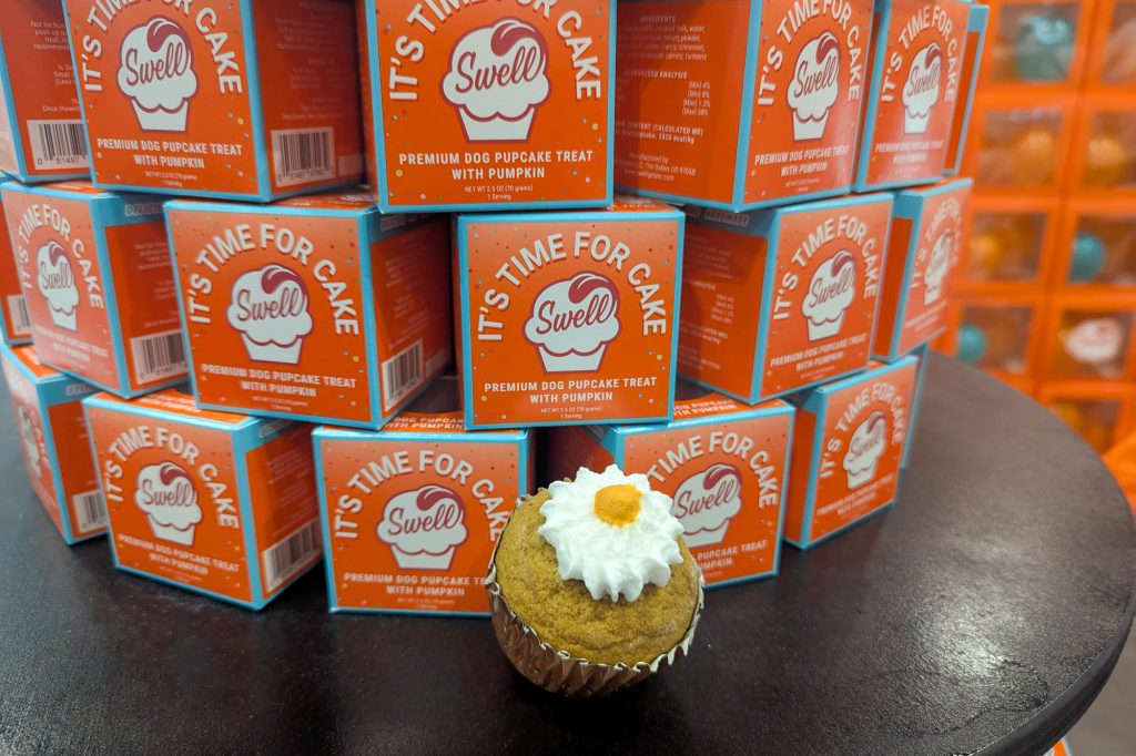 Orange square box packaging and a pumpkin pupcake for dogs