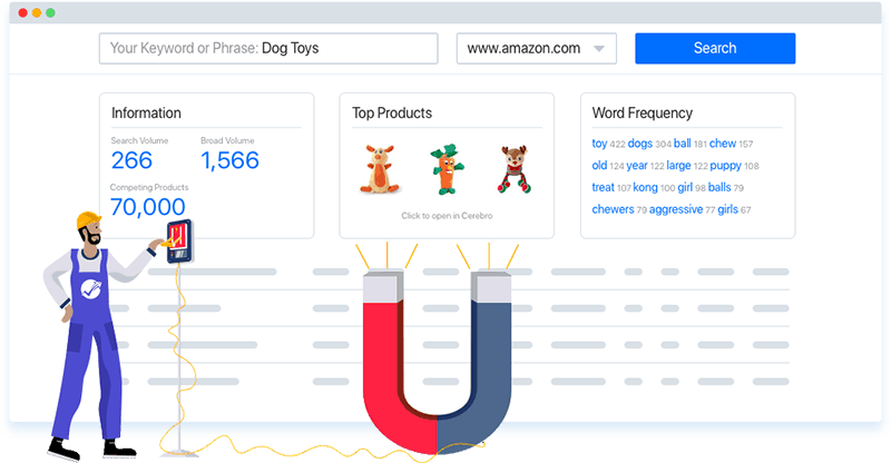 amazon keyword research tool magnet