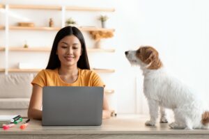 Find Your Audience with Pinterest SEO Basics for Pet Content Creators