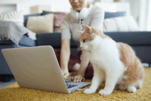 Letter to the BlogPaws Community: Don’t Worry, Blogging is NOT Dead!