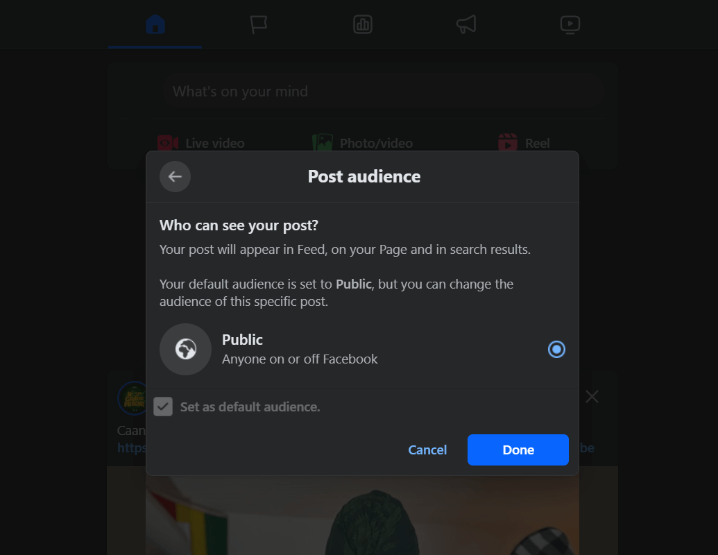 Facebook post audience settings window showing public as the selected visibility option