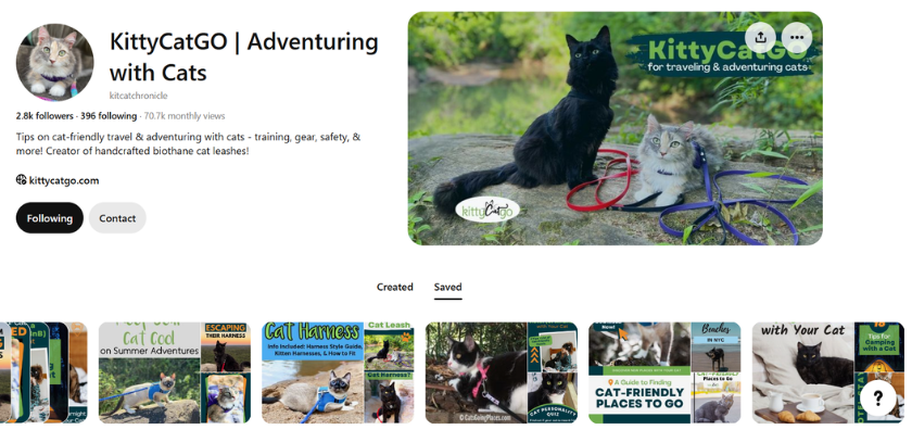 screenshot of the kittycatgo pinterest bio | Find Your Audience with Pinterest SEO Basics for Pet Content Creators