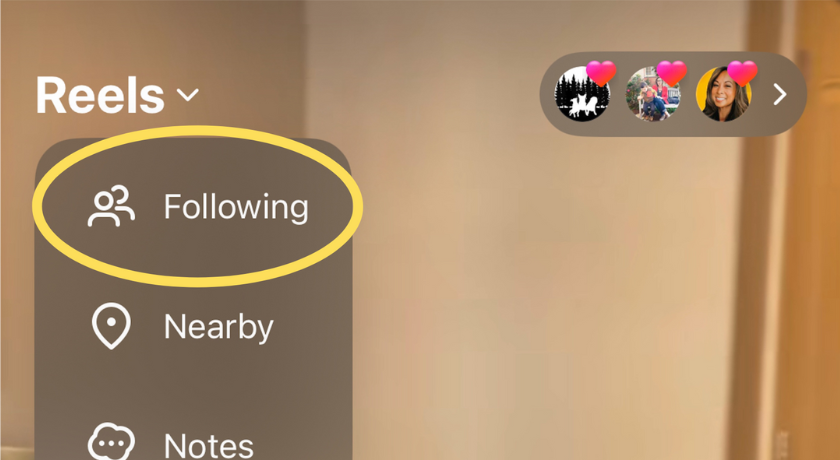 screenshot showing the displayed likes on instagram posts | New Instagram Updates? Found Out What This Means for YOU as a Pet-Focused Creator