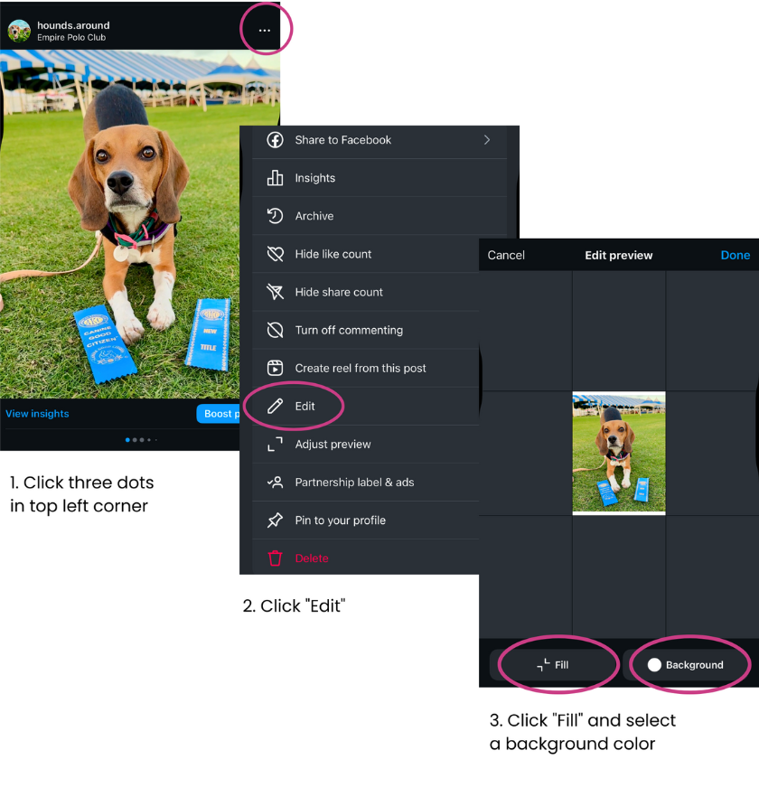screenshots showing how to revert your instagram images back to their original size | New Instagram Updates? Found Out What This Means for YOU as a Pet-Focused Creator