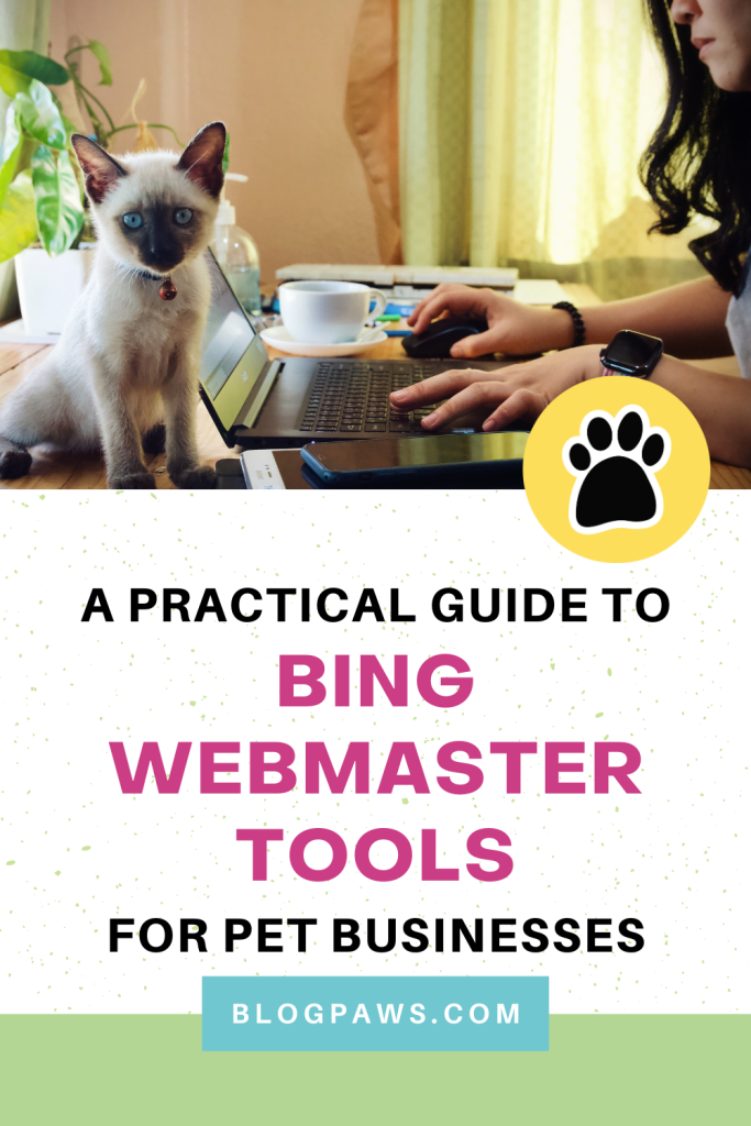 woman working on a laptop with a siamese kitten sitting beside her pin graphic | Diversifying Your SEO Strategy: A Practical Guide to Bing Webmaster Tools for Pet Businesses