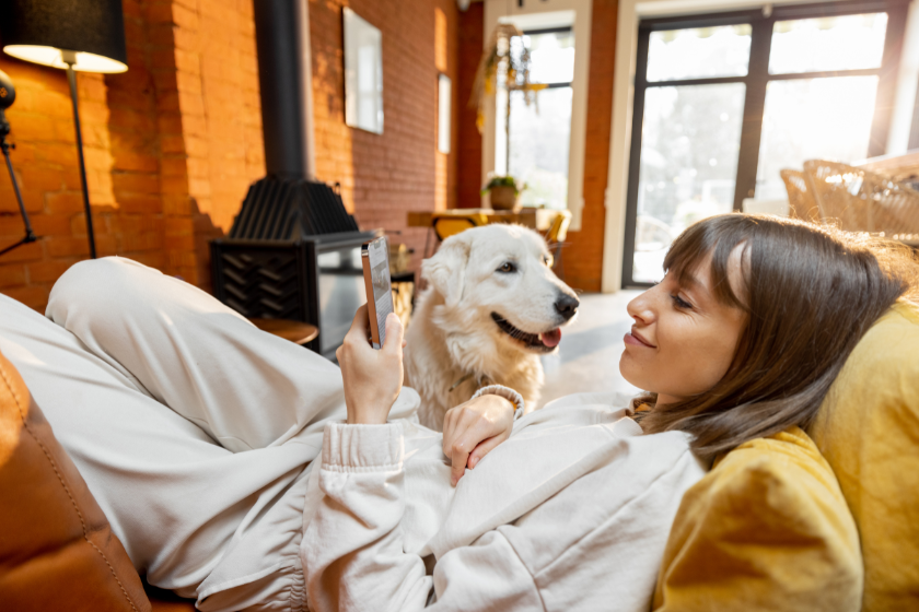 woman working on her phone with a dog beside her | New Instagram Updates? Found Out What This Means for YOU as a Pet-Focused Creator