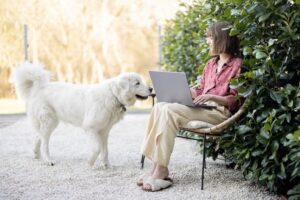 How to Rank in AI Search Results: Actionable Steps to Help Your Pet Business Stand Out in Generative Search